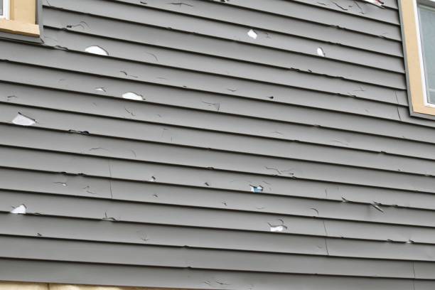 Best Engineered Wood Siding  in Oak Park, CA